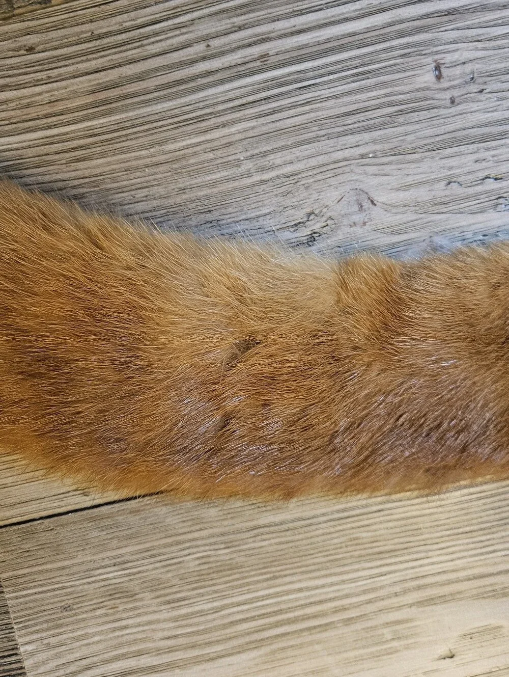 N/A vintage fox